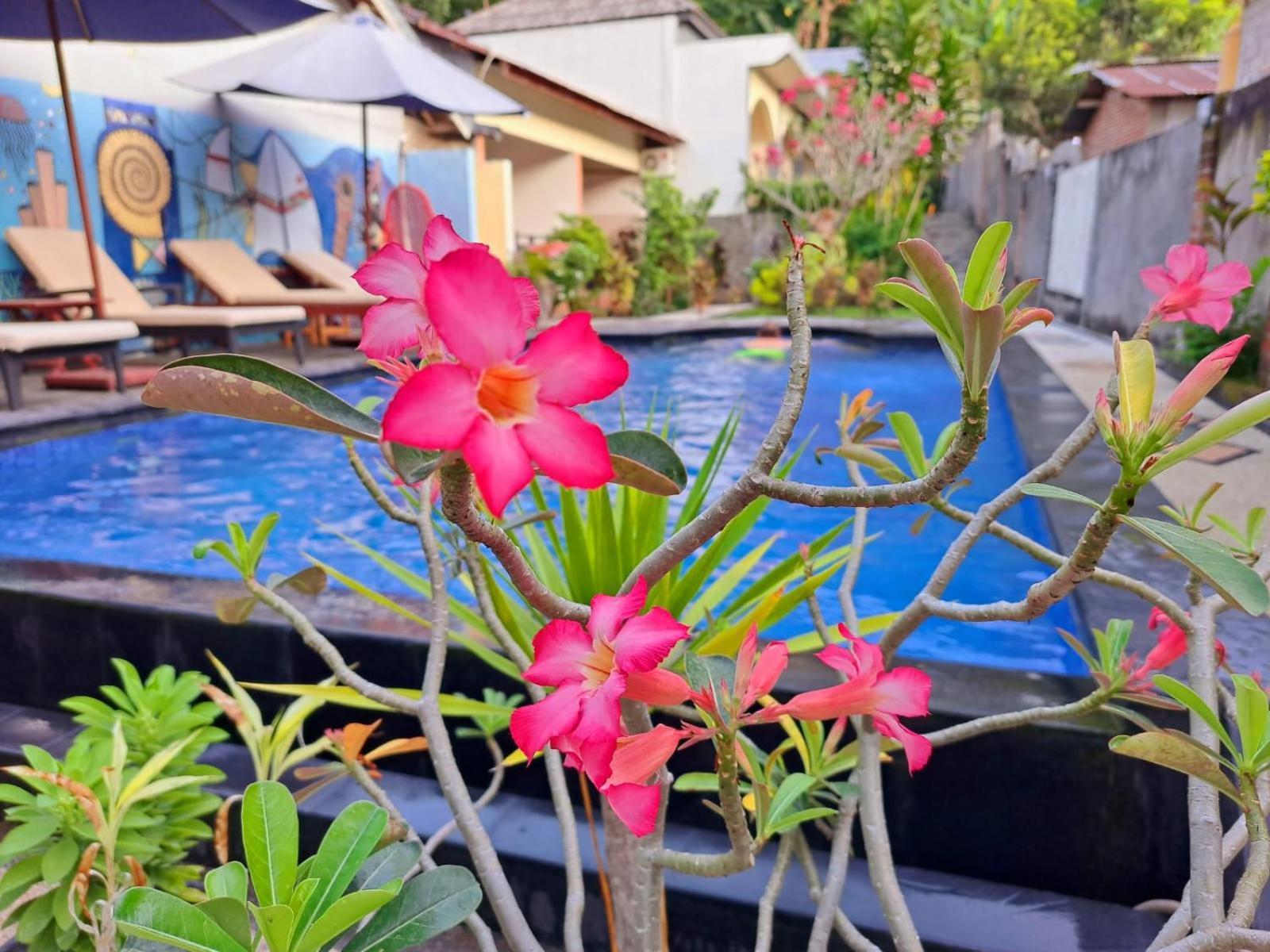 Family Garden Homestay Senggigi Zewnętrze zdjęcie